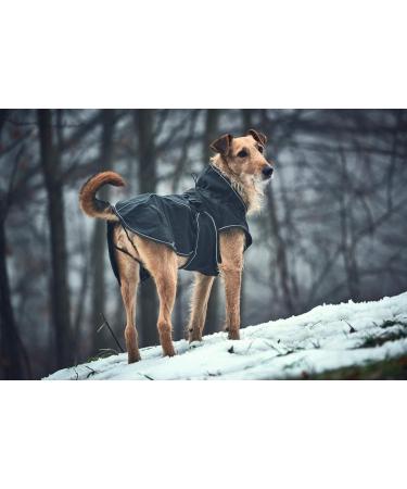 HUNTER Uppsala Softshell Dog Coat 30 | Functional Black Dog Jacket for All Weather - International Shipping Available - Buy Online on GoSupps.com