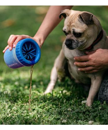 Dexas MudBuster Petite Pro Blue - Buy Online on GoSupps.com