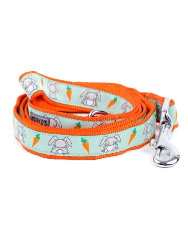 The Worthy Dog Bunnies and Carrots Kawaii Designer Pet Dog Strong and Comfortable Nylon Webbing Lead Fits Small, Medium and Large Dogs, Mint Green Color 1" x 5' Mint Green