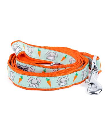 The Worthy Dog Bunnies and Carrots Kawaii Designer Pet Dog Strong and Comfortable Nylon Webbing Lead Fits Small, Medium and Large Dogs, Mint Green Color 1" x 5' Mint Green