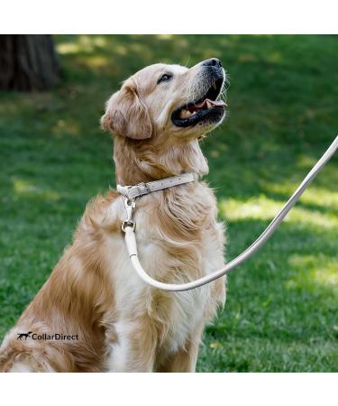 Collardirect Handmade Round Leather Dog Collar - Soft Padded Rolled Design for Dogs & Cats (40-45 cm) - Available in Black Pink Red Purple Blue & White - Buy Online on GoSupps.com