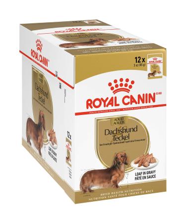 Royal Canin Breed Health Nutrition Dachshund Adult Wet Dog Food 3 Ounce (Pack of 12) Loaf in Gravy