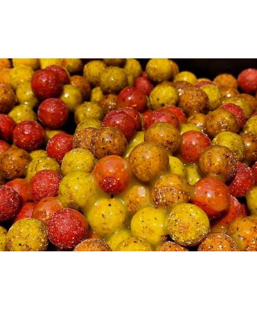 Tandem Baits Carp Food PVA Booster Carp Bait Carp Fishing Pop-Ups Boilie Carp Professional Carp Fishing Accessories 1000 - Buy Online on GoSupps.com