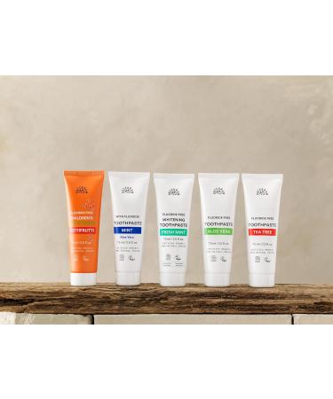 Urtekram Natural Organic Toothpaste - Vegan & Fluoride-Free - Fresh Mint Flavor - 75ml - International Shipping Available - Buy Online on GoSupps.com