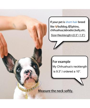 Gold Dog Collar puppy Zircon 14mm Cuban Link Chain 16" Handmade Iced out Diamond Exaggerated Clasp Full Cz Prong Set Pet Jewelry - Buy Online on GoSupps.com