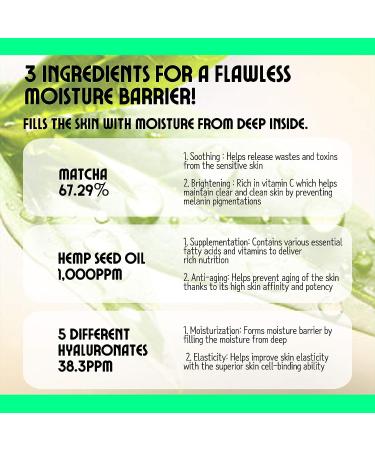 CHASIN' RABBITS Green Tea Golden Ruler Face Moisturizer Cream | Korean Skin Care with Probiotics | Vegan Intensive Moisturizing (75mL) - Buy Online on GoSupps.com