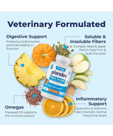Glandex Dog & Cat Anal Gland Fiber Supplement Powder with Pumpkin & Digestive Enzymes Vet Recommended Healthy Bowels & Digestion - Boot The Scoot (Vegan Salmon 70g) Vegan Salmon 70g - Buy Online on GoSupps.com