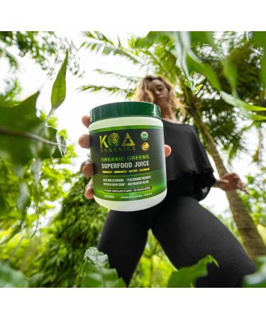Greens Superfood Juice Powder - USDA Organic Super Greens Powder with with Spirulina Chlorella Matcha Wheat Grass Digestive Enzymes & Probiotics - Chocolate Flavor -30 Serv 8.47 Ounce (Pack of 1) - Buy Online on GoSupps.com