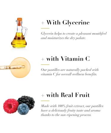 Dr. Doolittle s Sugar Free Soft Fruit Pastilles for Voice and Throat Wild Berries Flavor 2.12 Ounce Tin Approximately 25 Count Package 2 Pack - Buy Online on GoSupps.com