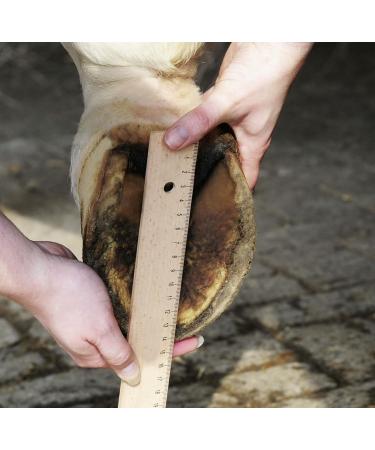 Buy HKM Hoof Shoes for Horses - Non-Slip Shock-Absorbing Comfortable & Durable | Black Size 4 | International Shipping Available - Buy Online on GoSupps.com