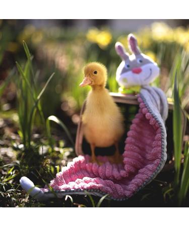 HABA 305558 Comforter Bunny Hops | Colorful Baby Comforter for Newborns & Infants | International Shipping Available - Buy Online on GoSupps.com