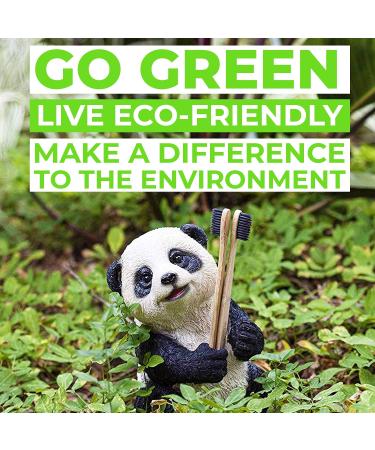 EveEco Bamboo Toothbrush 4 Pack - Soft Bristles for Sensitive Gums, Charcoal Infused, Vegan, Natural Wood, BPA Free, Recyclable, Compostable, Biodegradable - Eco-Friendly - Buy Online on GoSupps.com