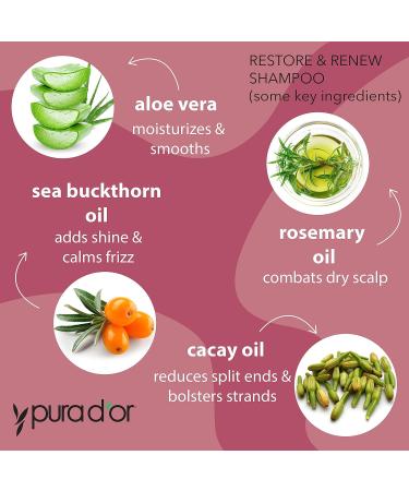PURA D OR Restore & Renew Shampoo & Conditioner Set | Organic Aloe Vera Rosemary Sea Buckthorn | Strong Healthy Hair - International Shipping - Buy Online on GoSupps.com