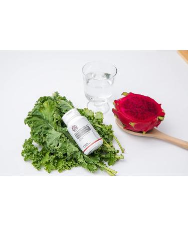 FSN Respiratory Health & Sinus Support Capsules - Red Algae Blend with Quercetin & Gallic Acid - 90 Count - Buy Online on GoSupps.com