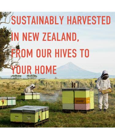 Egmont Honey Manuka Honey Throat Pops 10 Count | UMF 15+ New Zealand Honey with Vitamin C | Natural Soothing Lollipops - Buy Online on GoSupps.com