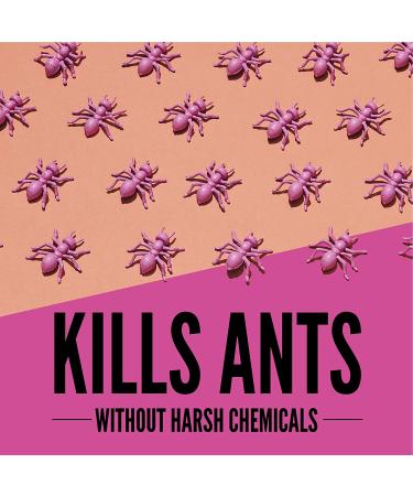 Aunt Fannie's Ant Remedy Spray - 16.9 fl oz Direct Formula for Effective Ant Control - Buy Online on GoSupps.com