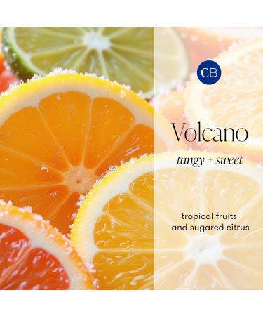 Capri Blue Hand Wash Soap Flora Edit Collection Cleansing Liquid Hand Soap Infused with Plant-Based Glycerin Skin Care Notes of Juicy Tropical Fruits & Sugared Citrus (Volcano 11.8 fl oz) - Buy Online on GoSupps.com