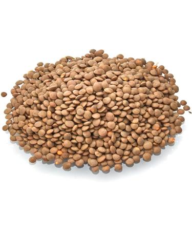Old India Masur Whole Brown Lentils 1kg - Premium Quality Lentils for Healthy Cooking - Buy Online on GoSupps.com