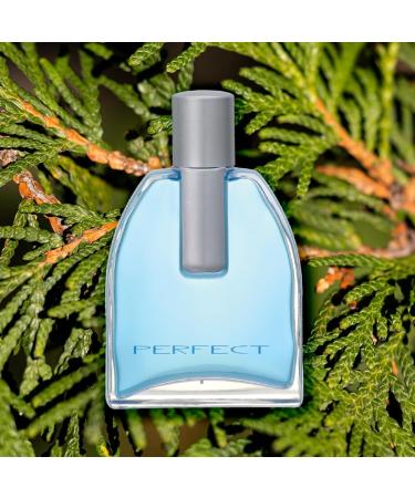 Zermat Perfect Fragrance for Men Fresh - Herbal Scent 3.4 Fl. Oz - Buy Online on GoSupps.com
