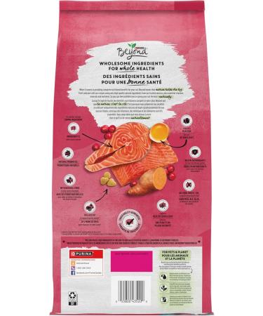 Beyond Grain Free Natural Dry Cat Food Indoor Cat Wild-Caught Salmon & Egg - 2.26 kg Bag 2.26 kg (Pack of 1) - Buy Online on GoSupps.com