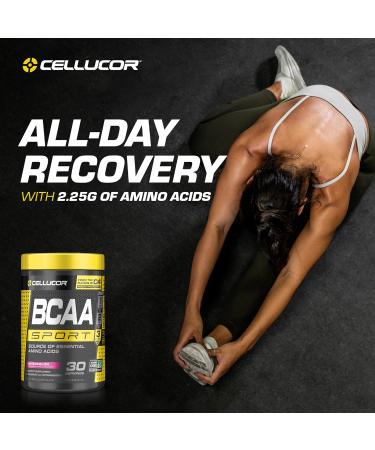 Cellucor BCAA Sport Post-Workout Intra Workout Powder Sports Drink Supplements for Hydration Endurance & Recovery Watermelon 30 Servings Watermelon 30 Servings (Pack of 1) - Buy Online on GoSupps.com