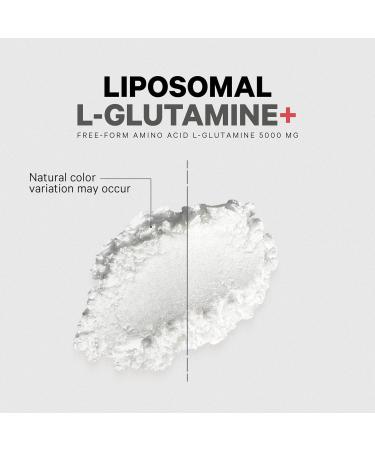 Codeage L-Glutamine Powder 5000mg - Vegan Non-GMO Amino Acid Supplement for Gut Health & Muscle Support - 3-Month Supply Liposomal Delivery 16.67 oz - Buy Online on GoSupps.com