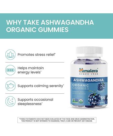 Himalaya Ashwagandha Organic Gummies | KSM-66 for Stress Relief, Energy & Relaxation | Delicious BlackBerry Flavor | 60 Gummies - Buy Online on GoSupps.com