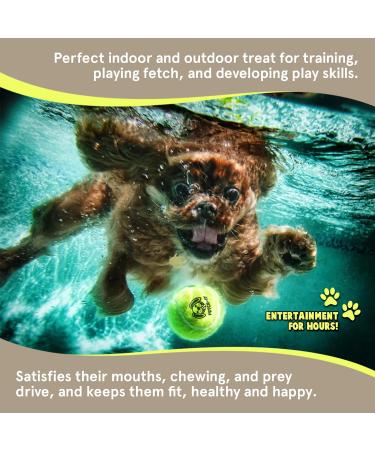 Dog Tennis Balls By Smith s | 6 Pack | 6.35CM / 2.5 Diameter | 25% Stronger | High Visibility Colours | Tested And Certified | Best For Medium (11KG) to Giant Dogs (45KG) Regular (6.35CM / 2.5 Diameter) 6 Pack - Buy Online on GoSupps.com