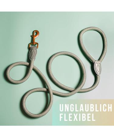 Premium 1.7m Dog Leash for Large Dogs - Durable Braided Training Rope | Sage Green - Buy Online on GoSupps.com