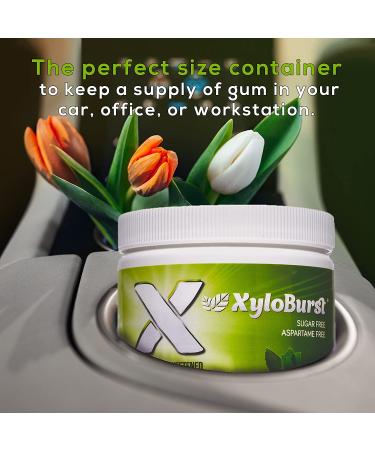 Xyloburst Xylitol Chewing Gum - Green Tea, 100 Pieces (5.29 oz) - Sugar-Free Freshness - Buy Online on GoSupps.com