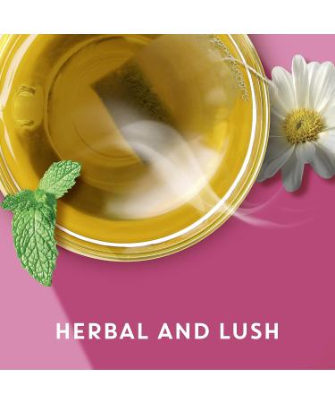 Tazo Herbal Infusion Tea-Calm Chamomile (Decaf) 20 Filter Bags - Buy Online on GoSupps.com