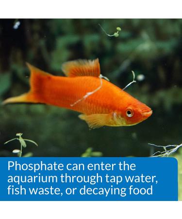 API Phosphate Test Kit for Freshwater and Saltwater - Accurate Water Quality Testing - Buy Online on GoSupps.com