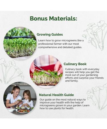 Arugula Sprouting & Microgreens Seeds - Non-GMO Heirloom Kit | 1lb Bulk Resealable Bag for Planting & Growing in Soil, Coconut Coir, Garden, Aerogarden, Hydroponic - Arugula Microgreen Seeds - Buy Online on GoSupps.com