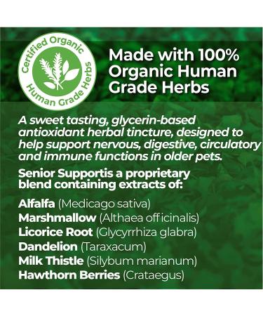 Animal Essentials AS-9000519-2 Alfalfa/Yucca Blend Dog & Cat Supplement 1oz (Pack of 2) - Buy Online on GoSupps.com