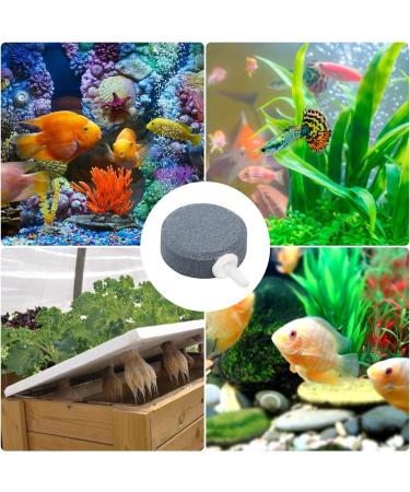 XIWUPO Bubblers & Sparkling Stones for Aquariums Ponds & Fish Tanks - Air Stones (2-Pack 4 cm) | Enhance Water Quality - Buy Online on GoSupps.com