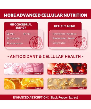 Liposomal Urolithin A Liquid Drops Urolithin A Supplement with Pomegranate Extract for Healthy Aging Antioxidant & Mitochondrial Support Non-GMO 2 Fl Oz - Buy Online on GoSupps.com