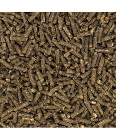Speed Electrolyte Boost for Horses - 1 500g | Mineral-Rich Grain-Free Molasses-Free Feed - Buy Online on GoSupps.com