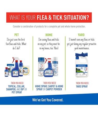 Adams Plus Flea & Tick Shampoo with Precor for Cats, Dogs & Puppies - 1 Gallon | Sensitive Skin Formula | Kills Adult Fleas, Eggs, Ticks, Lice | For Pets Over 12 Weeks - Buy Online on GoSupps.com