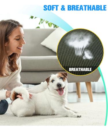 Kkiimatt Pet Care Hammock Harness for Small Dogs - Dog-Hinge Trim Hammock with Nail Clipper & Hooking Mat (XXX-LARGE 63kg Max - Green) | International Shipping - Buy Online on GoSupps.com