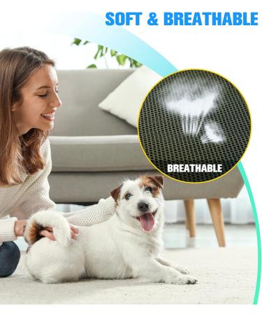 KKIIMATT 10-in-1 Petrol-Care Dog Nail Hammock & Grooming Kit | Nail Clipper File & Comb | Perfect for Dogs Under 20kg - Khaki Green - Buy Online on GoSupps.com