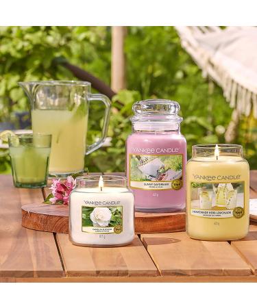 Yankee Candle Sunny Daydream Large Glass Candle | 150 Hour Burn Time | Garden Hideaway Collection - Shop Now! - Buy Online on GoSupps.com