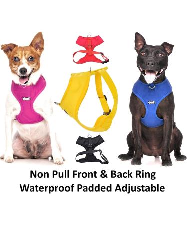 Dexil Limited Yellow Color Coded Non-Pull Dog Harness - XS 13-19 Inch Chest/Girth - Buy Online on GoSupps.com