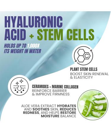 Alozera Pure Hyaluronic Acid Serum with Stem Cells for Face & Neck Deep Hydration Facial Moisturizer for Plumper & Smoother Skin Concentrated Anti-Aging Serum Day & Night - Buy Online on GoSupps.com