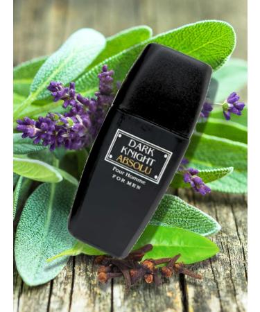 Dark Night Absolu for Men Eau de Parfum 3.4 Fl. Oz. Aromatic Fougere fragrance for men. - Buy Online on GoSupps.com