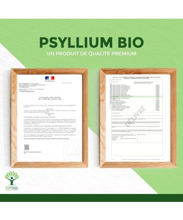 Psyllium Blond Bio - Bioptimal - Teguments de Psyllium en Poudre Fine - Husk Powder - Farine - Digestion Transit Coupe Faim - Origine Inde - Conditionn en France - Certifi Ecocert - 150g 150 g (Lot de 1) - Buy Online on GoSupps.com