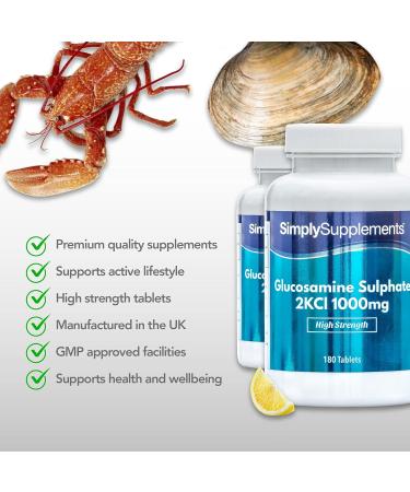 Glucosamine Sulphate 2KCl 1000mg | 360 Tablets Up to 1 Year Supply | Manufactured in The UK 180 count (Pack of 2) - Buy Online on GoSupps.com