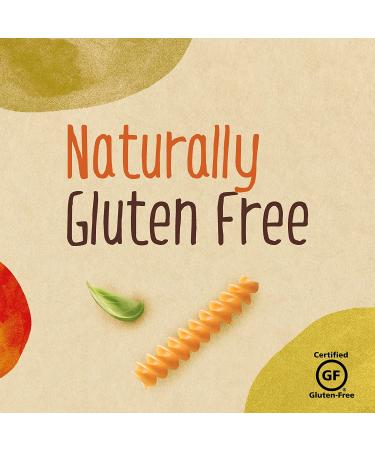 Barilla Chickpea Rotini Pasta 8.8 oz (Pack of 10) - Vegan, Gluten Free, Non GMO & Kosher - High Protein Plant Based Pasta - Buy Online on GoSupps.com