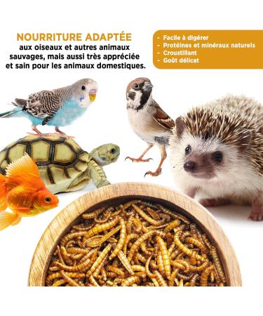 Dried Meal Worms - 160g 1L - Food for Fish Birds Turtles Hedgehogs Rodents and Reptiles - Buy Online on GoSupps.com