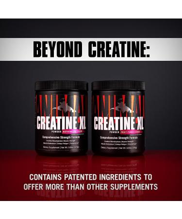 Animal Creatine XL Powder with PurpleForce & Senactiv - Enhanced Creatine Monohydrate Supplement for Endurance and Recovery - Watermelon Flavor - 9.84 oz - Buy Online on GoSupps.com