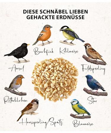 Dehner Natura Wild Bird Food - Chopped Peanuts 5kg | Premium Quality for Healthy Birds - International Shipping Available - Buy Online on GoSupps.com